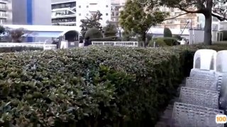 swallowed出品，这妞馋鸡巴馋疯了，用力吸吮